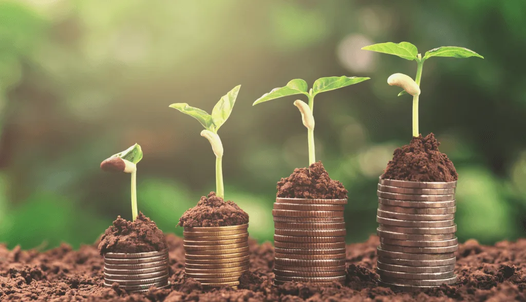 Promoting Sustainability and Green Investments 3