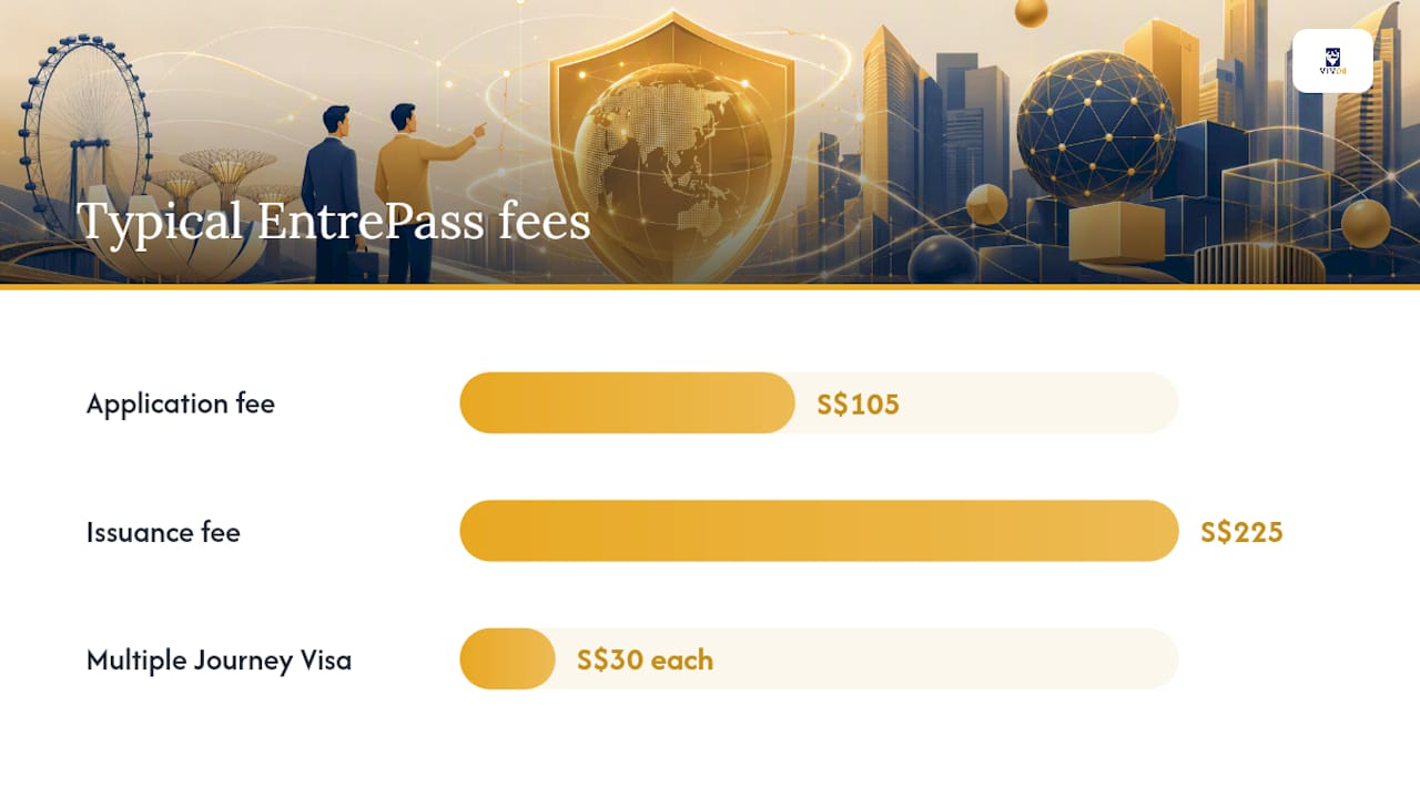 How to Apply: Process, Fees, and Timelines — overview diagram