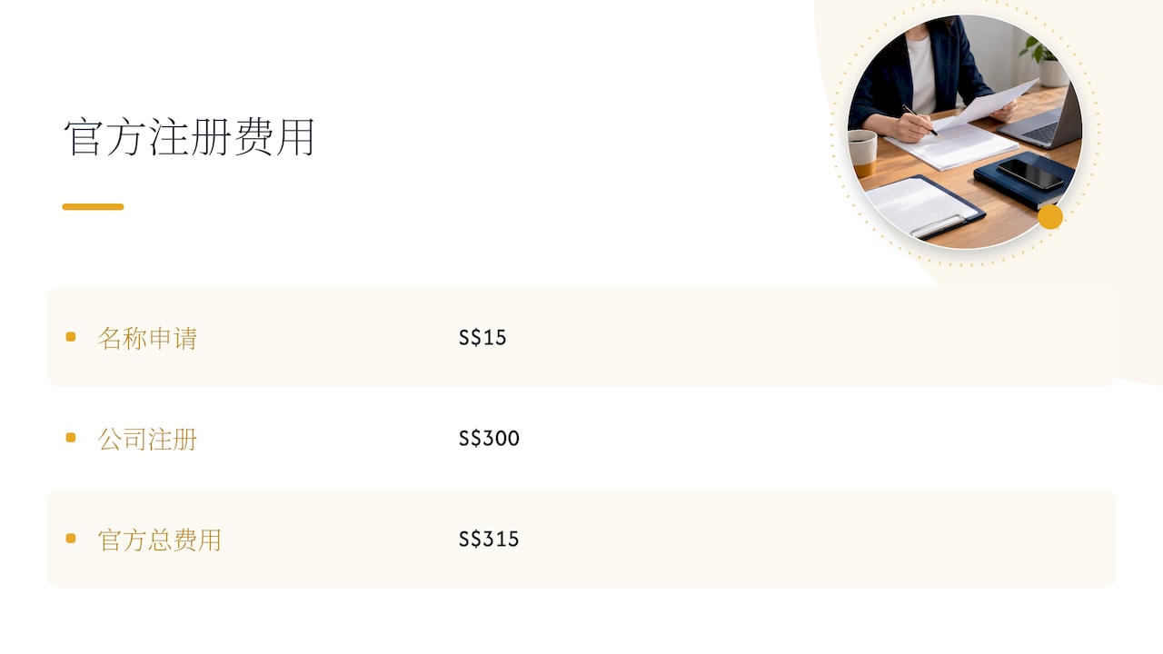 新加坡公司注册费用组成比例图