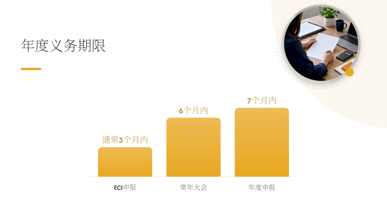注册后的年度合规义务 — overview diagram